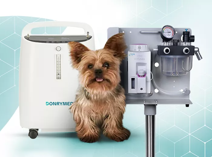 Zariadenia na veterinárnu anestéziu